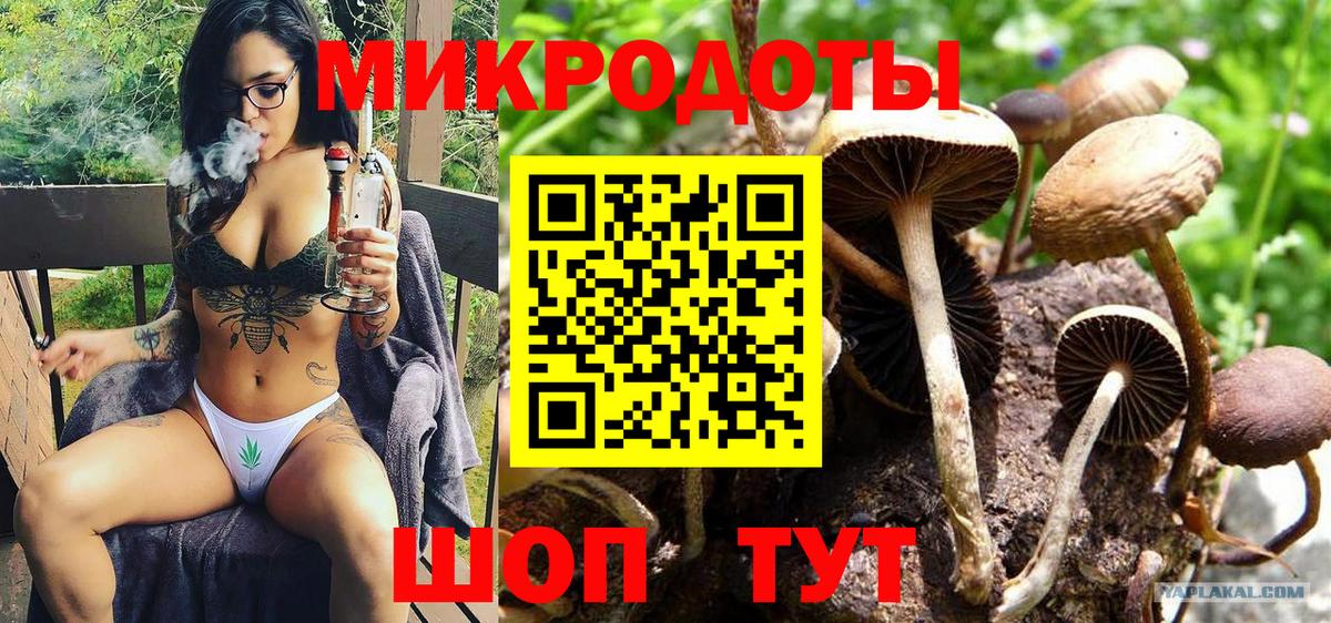 Псилоцибиновые грибы ЛСД  Вход с VPN  Петровск 